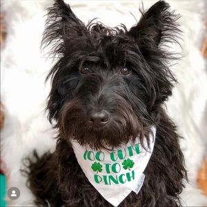 Too cute to pinch over the collar dog bandana